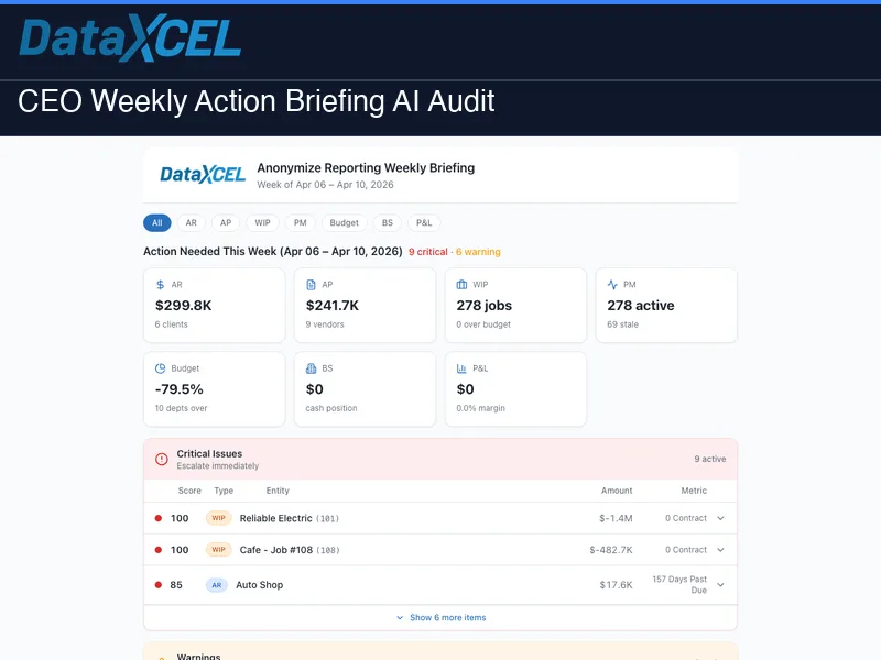 CEO AI Briefing screenshot