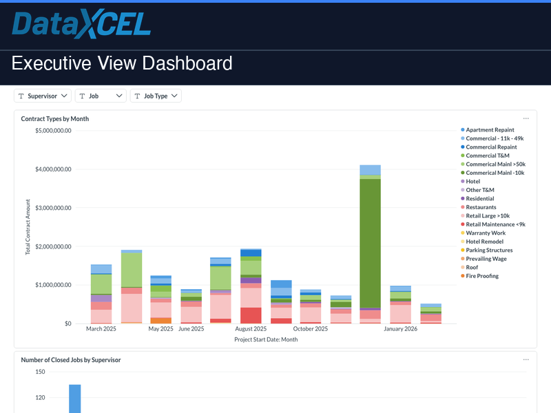 Executive View Dashboard screenshot